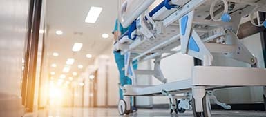 shutterstock_2506802321_385x170px