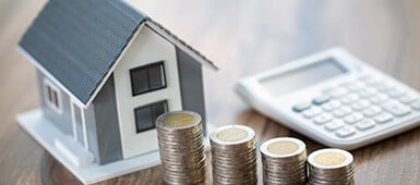 shutterstock_1560784328_385x170px