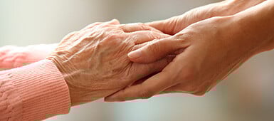 shutterstock_248302033_385x170px