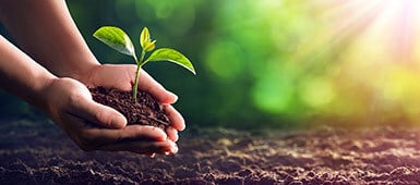 shutterstock_1297849066_385x170px