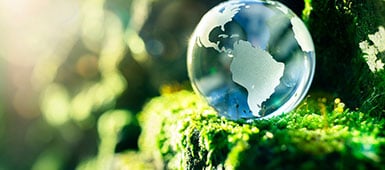 shutterstock_1555284593_385x170px