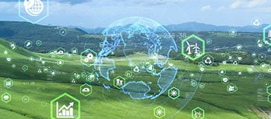 shutterstock_1870872751_385x170px