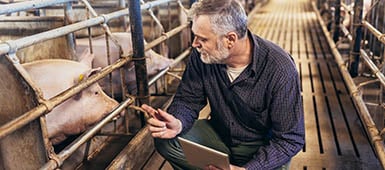 shutterstock_2188847685_385x170px