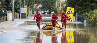 shutterstock_2517382703_385x170px