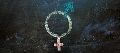 shutterstock_691012363_385x170px